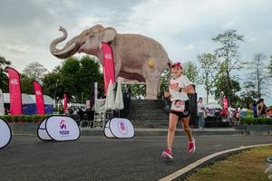 BIB: 
                            <button type="button" onclick="openModal(26528509)" class="btn btn-primary btn-sm float-right btn-popup" data-toggle="modal" data-target=".modal-high-quality">
                        <i class="fas fa-shopping-cart"></i> Add to Cart
                    </button>
                                            <button type="button" onclick="isThisMe(26528509, true)" class="btn btn-success btn-sm float-right btn-popup btn-isme hidden" data-toggle="tooltip" data-placement="bottom" title="นี่คือรูปของคุณใช่ไหม คลิกที่นี่เพื่อเอาเข้าอัลบั้ม">
                        <i class="fas fa-plus"></i> Add to album
                    </button>
                    <button type="button" onclick="isThisMe(26528509, false)" class="btn btn-warning btn-sm float-right btn-popup btn-isnotme hidden">
                        <i class="fas fa-ban"></i> Remove from album
                    </button>